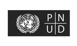 Pnud